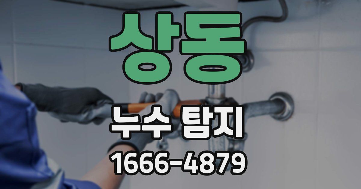 상동 누수 탐지