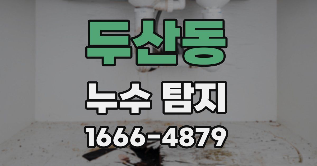 두산동 누수 탐지