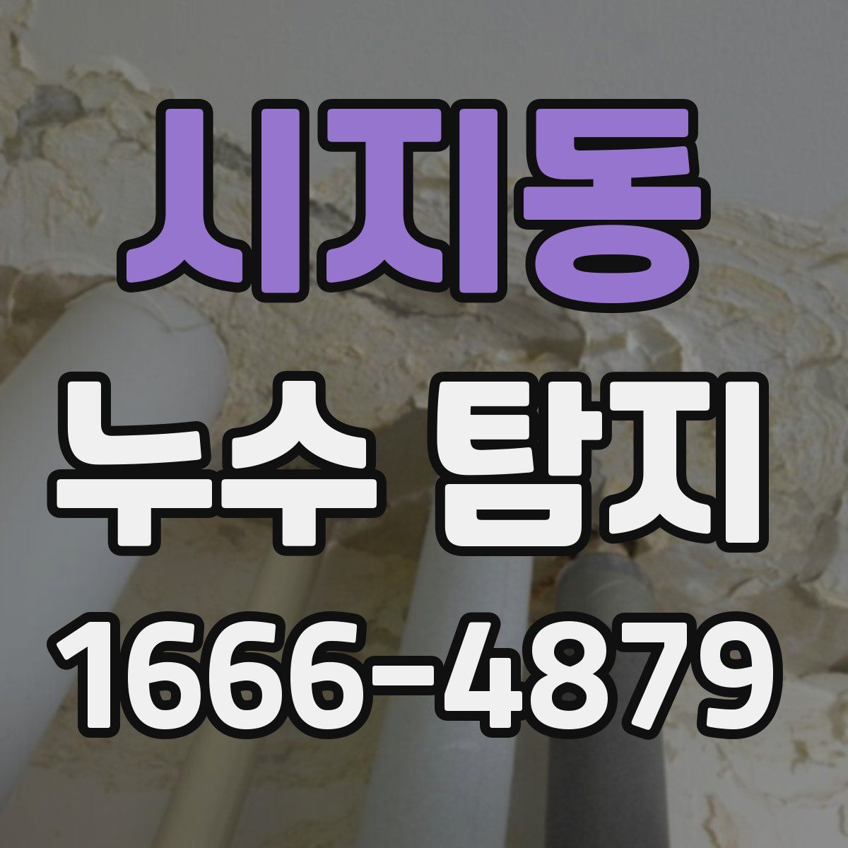시지동 누수 탐지