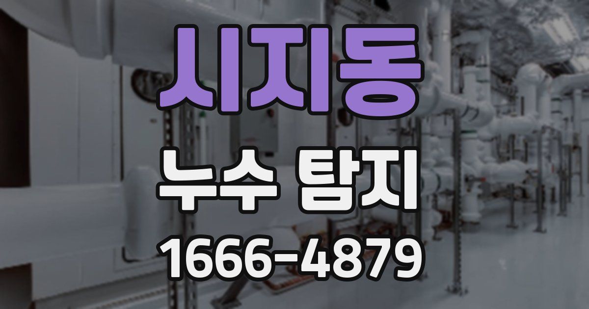 시지동 누수 탐지