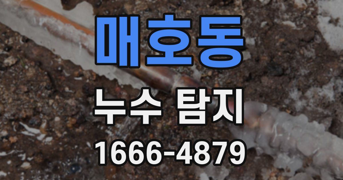 매호동 누수 탐지