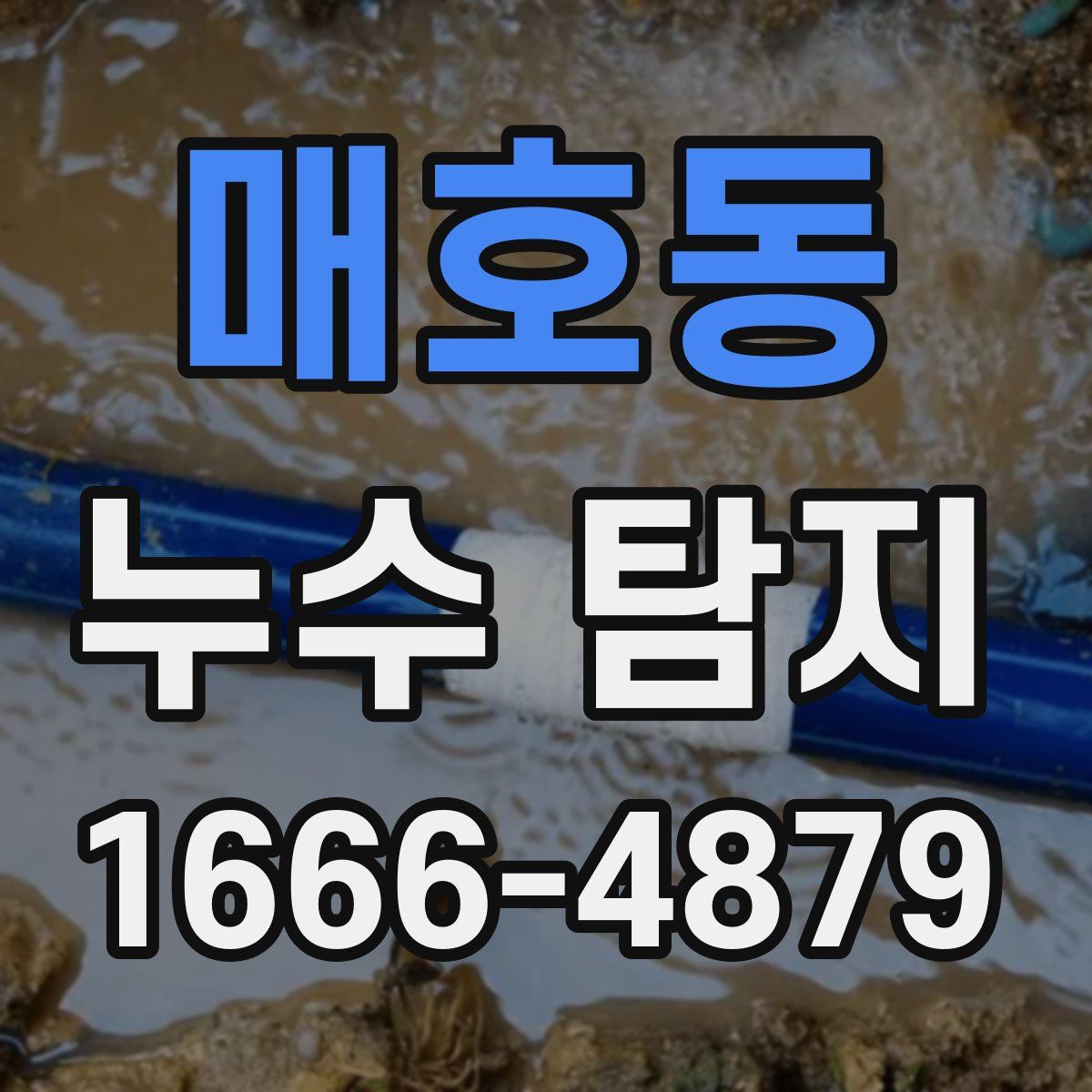 매호동 누수 탐지