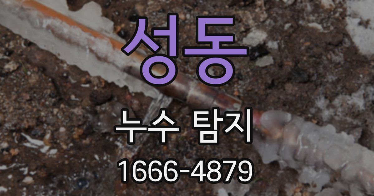성동 누수 탐지