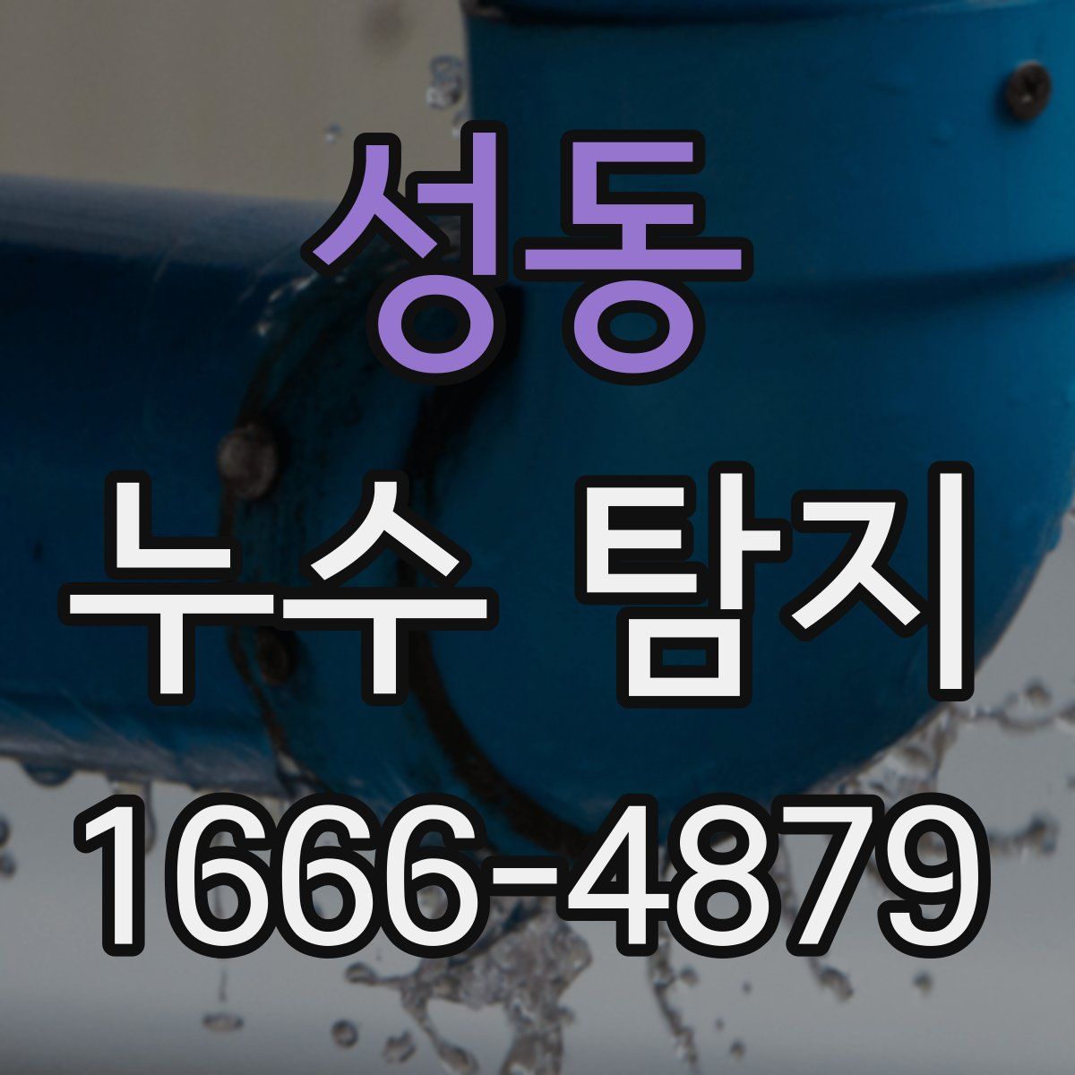 성동 누수 탐지