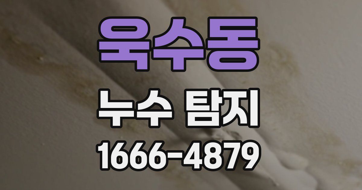 욱수동 누수 탐지