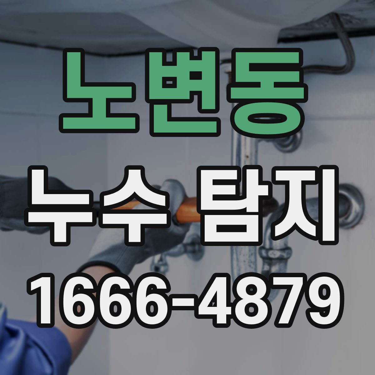 노변동 누수 탐지