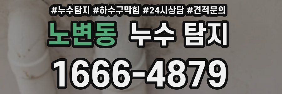 노변동 누수 탐지