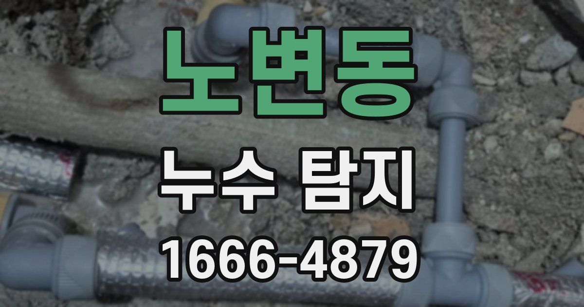 노변동 누수 탐지