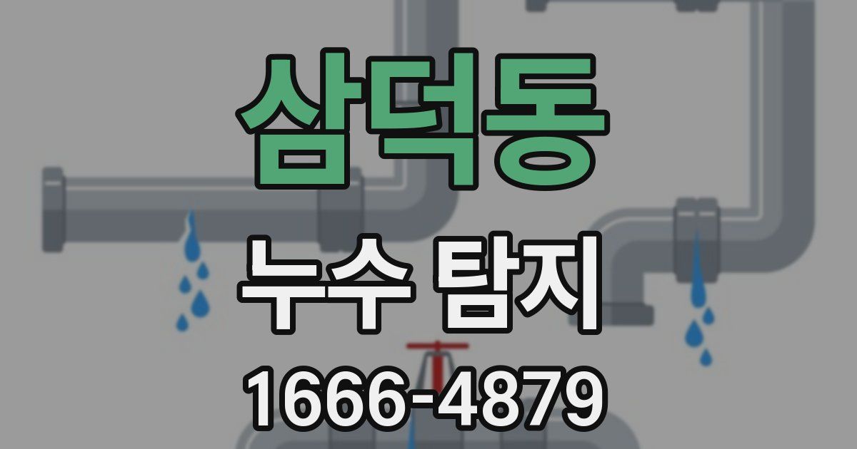 삼덕동 누수 탐지