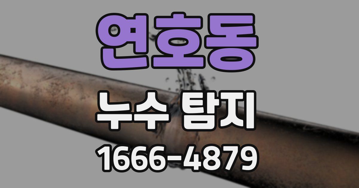 연호동 누수 탐지
