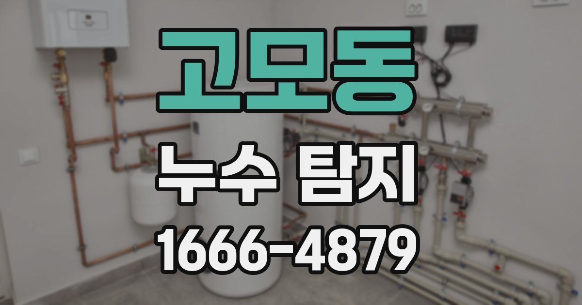 고모동 누수 탐지
