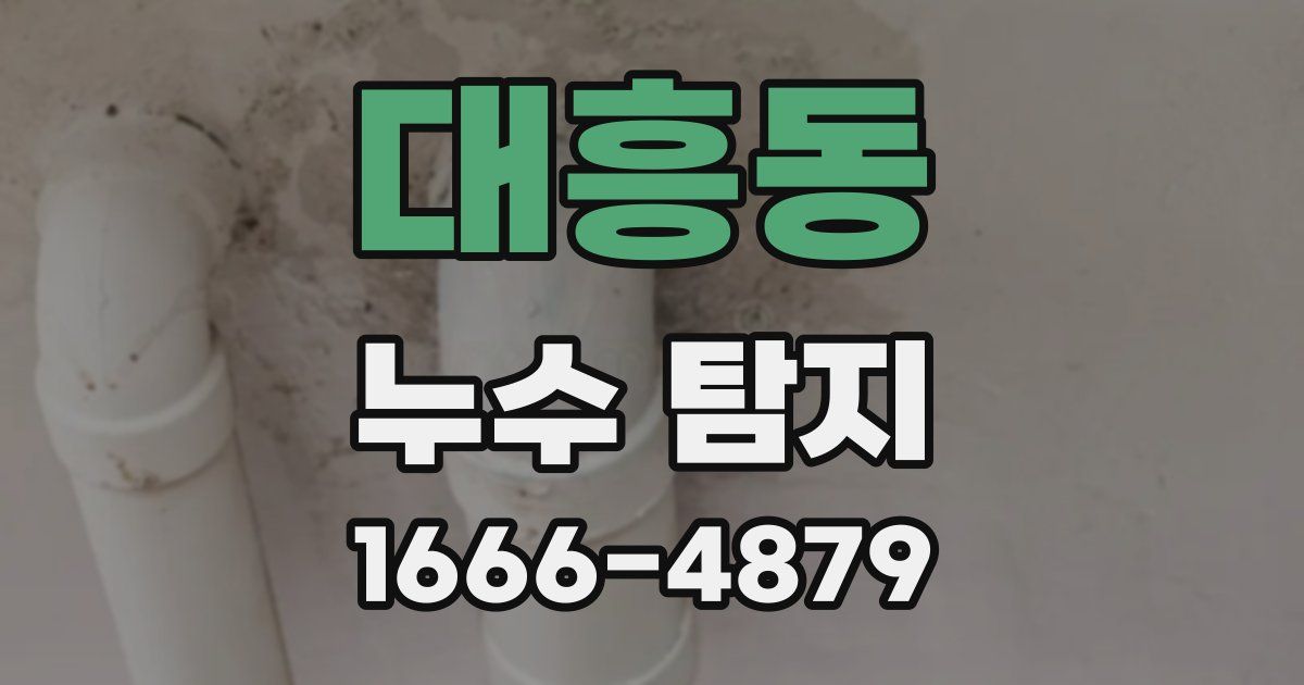 대흥동 누수 탐지