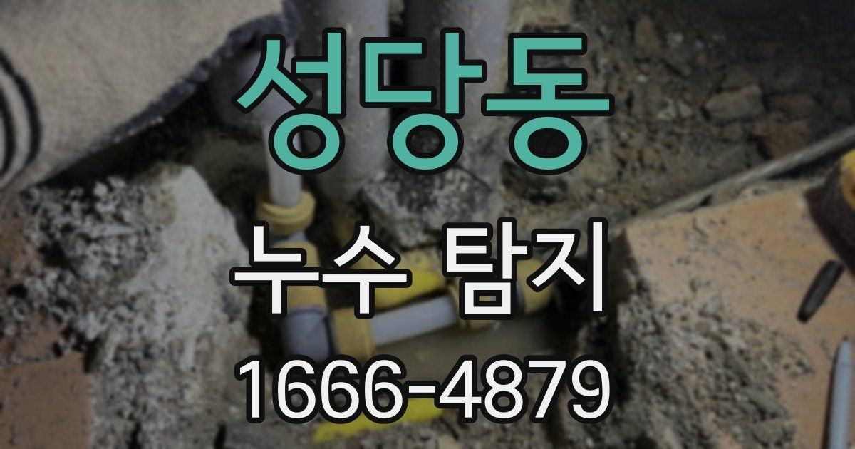 성당동 누수 탐지