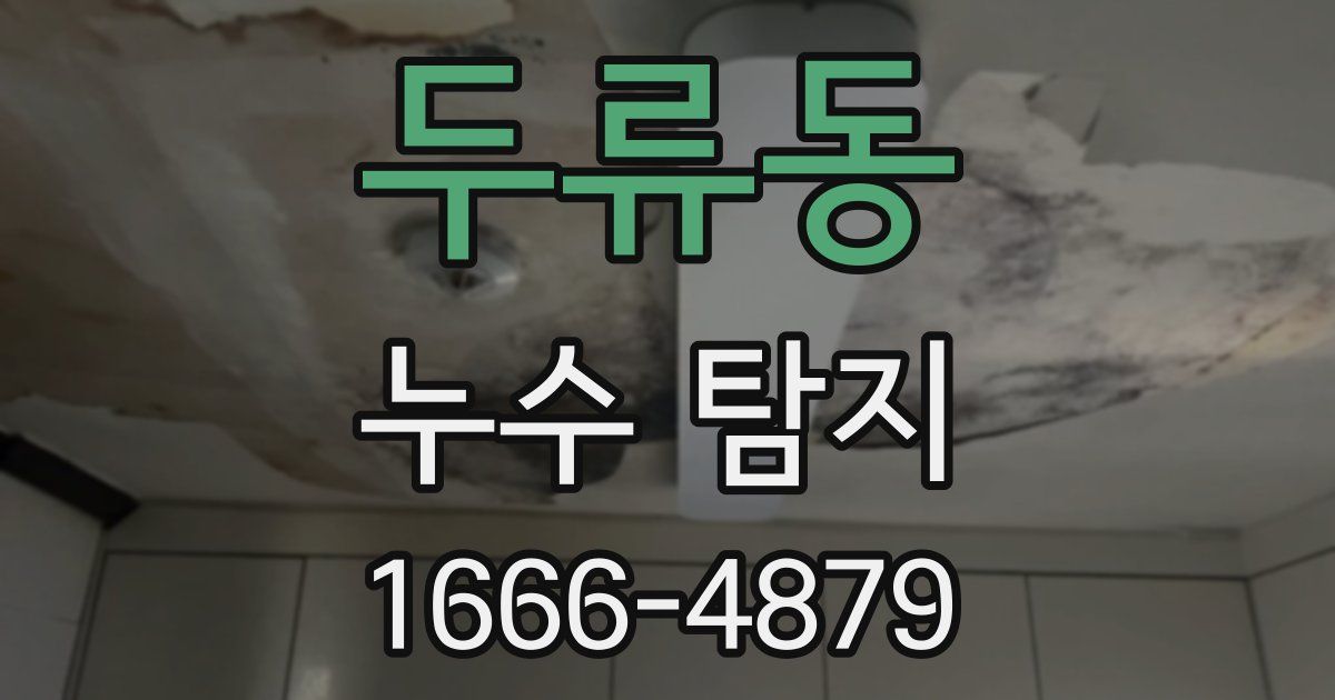 두류동 누수 탐지