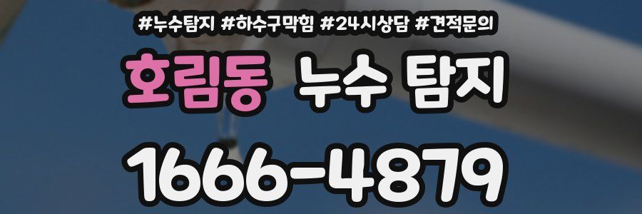 호림동 누수 탐지