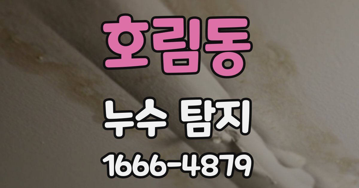 호림동 누수 탐지