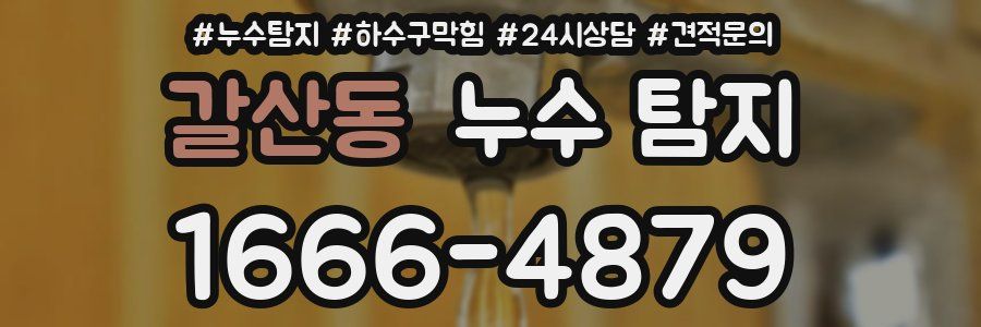 갈산동 누수 탐지