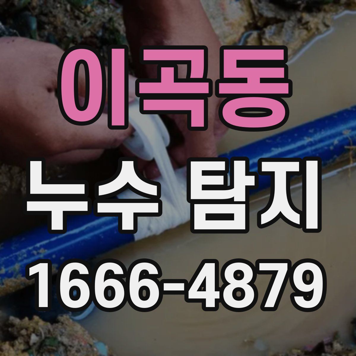 이곡동 누수 탐지