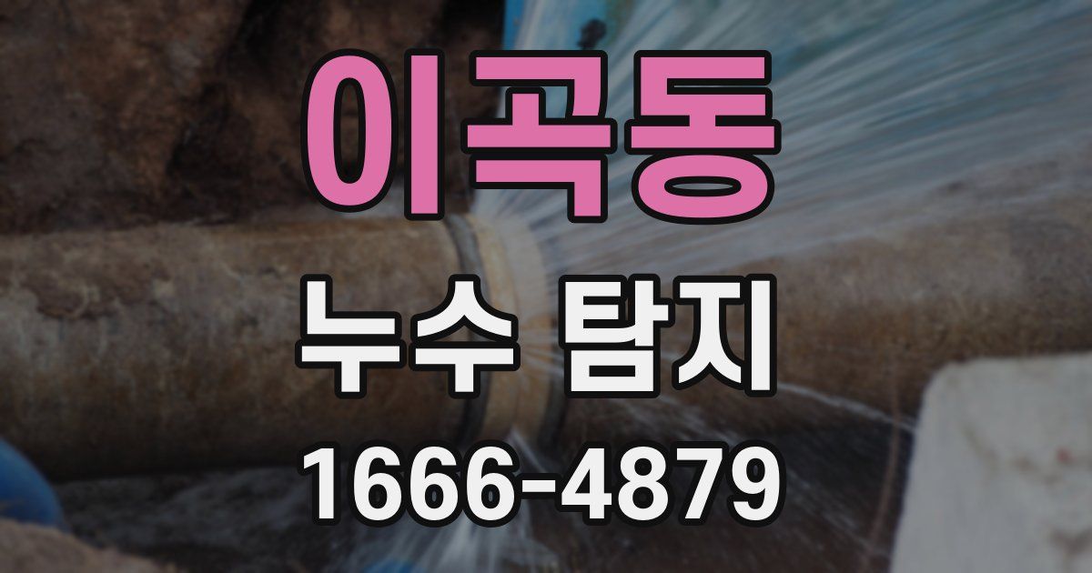 이곡동 누수 탐지