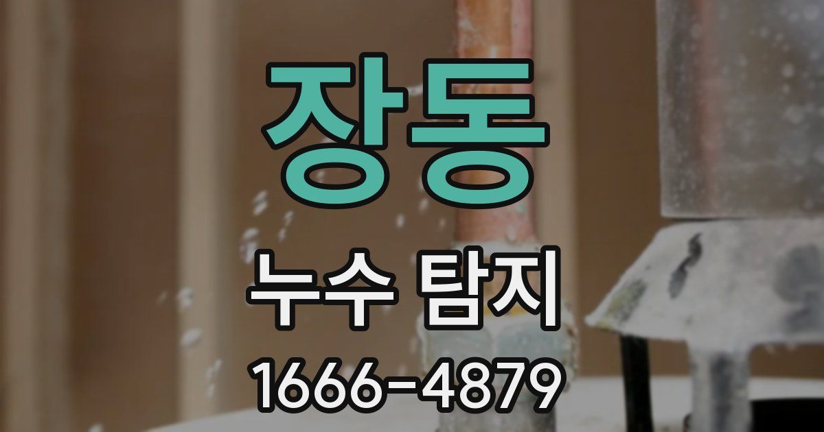 장동 누수 탐지