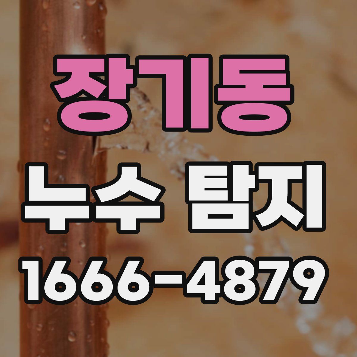 장기동 누수 탐지