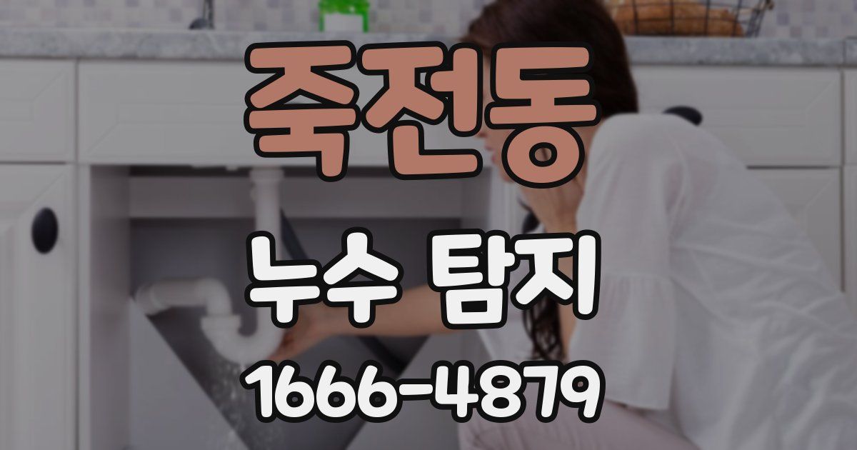 죽전동 누수 탐지