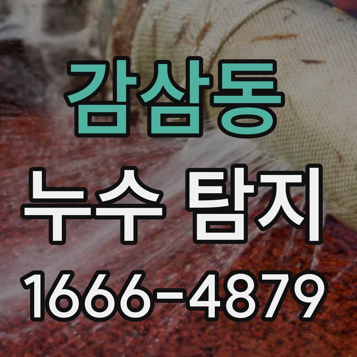 감삼동 누수 탐지