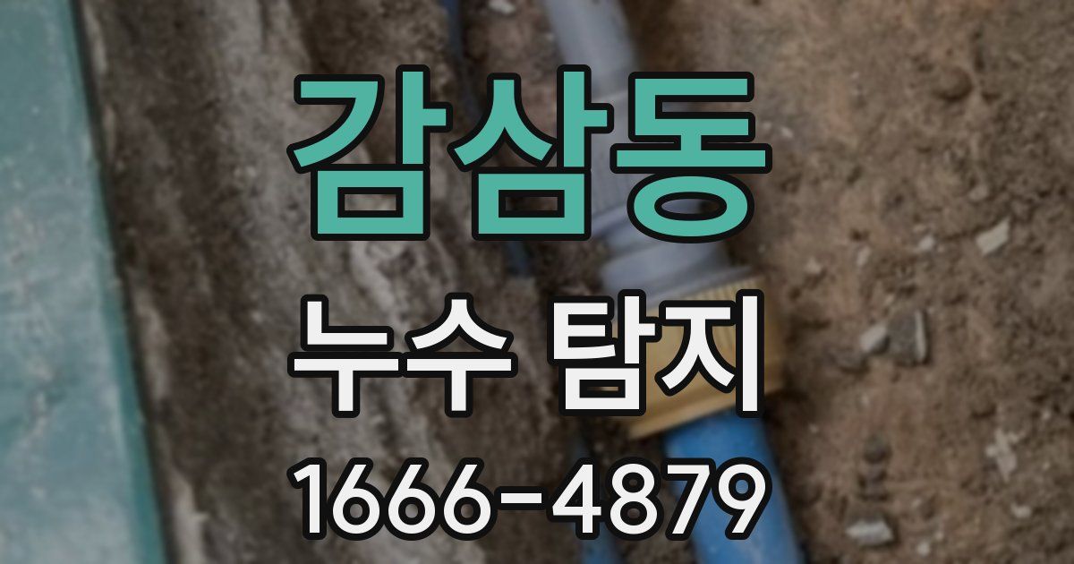 감삼동 누수 탐지