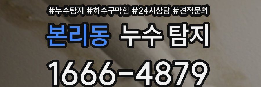 본리동 누수 탐지