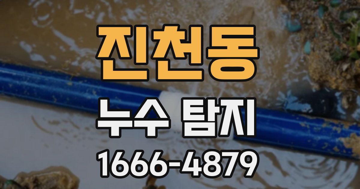 진천동 누수 탐지