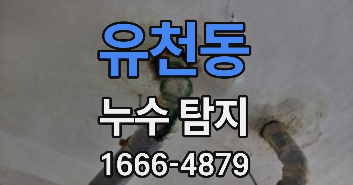 유천동 누수 탐지