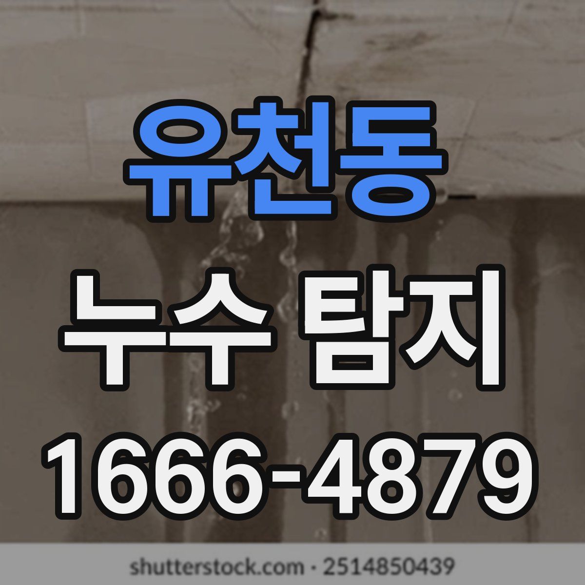 유천동 누수 탐지