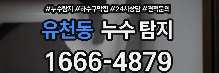 유천동 누수 탐지
