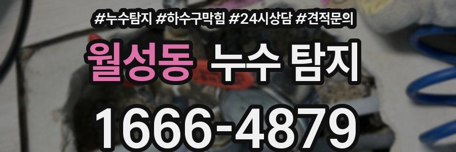 월성동 누수 탐지