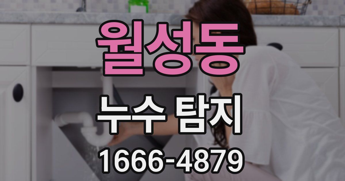 월성동 누수 탐지