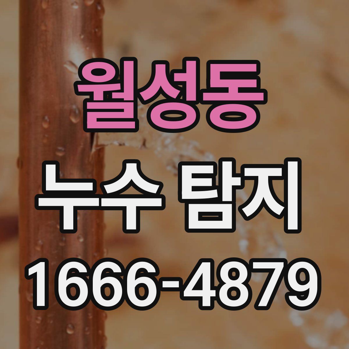 월성동 누수 탐지