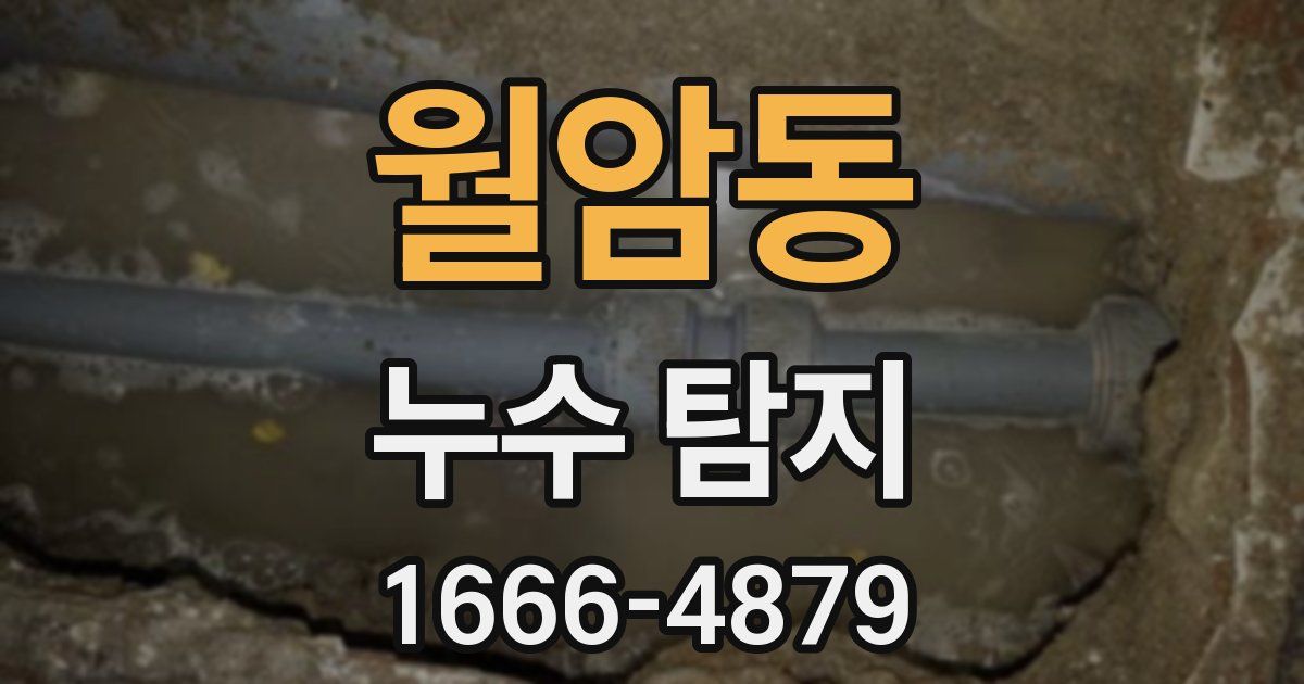 월암동 누수 탐지