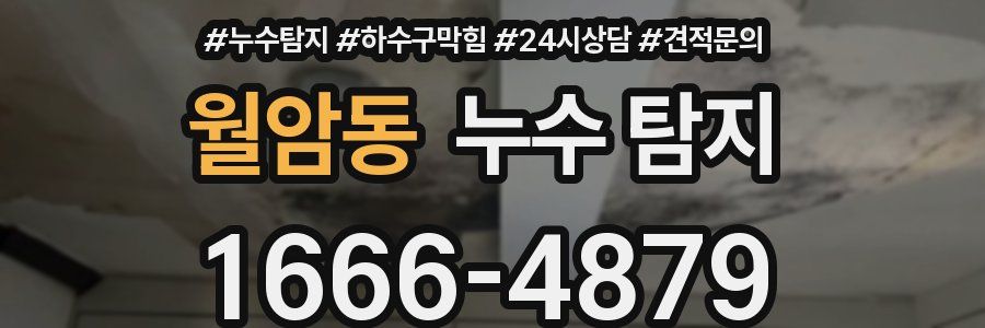 월암동 누수 탐지