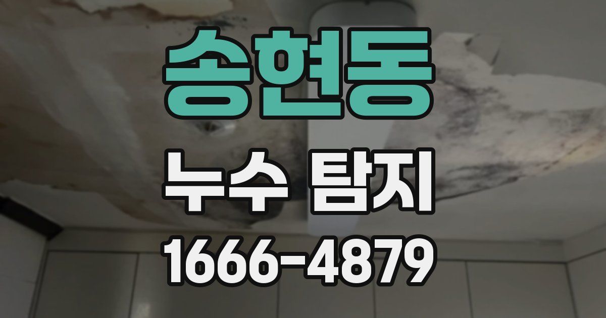 송현동 누수 탐지