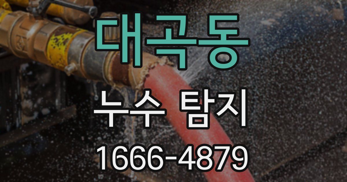대곡동 누수 탐지