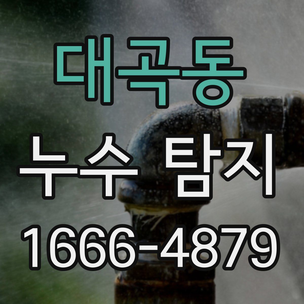 대곡동 누수 탐지
