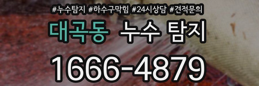 대곡동 누수 탐지