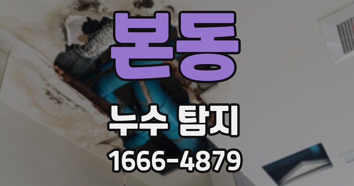 본동 누수 탐지