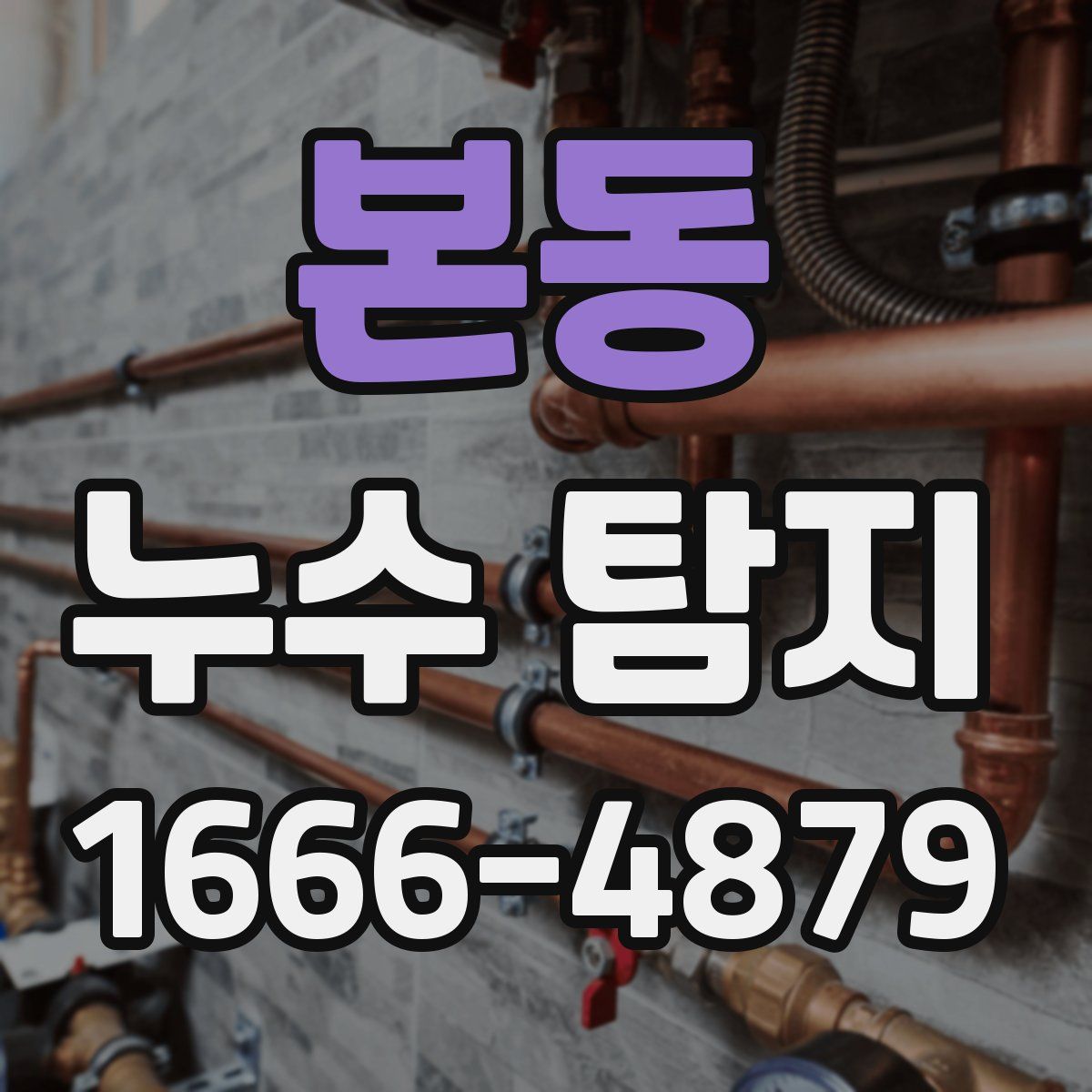 본동 누수 탐지