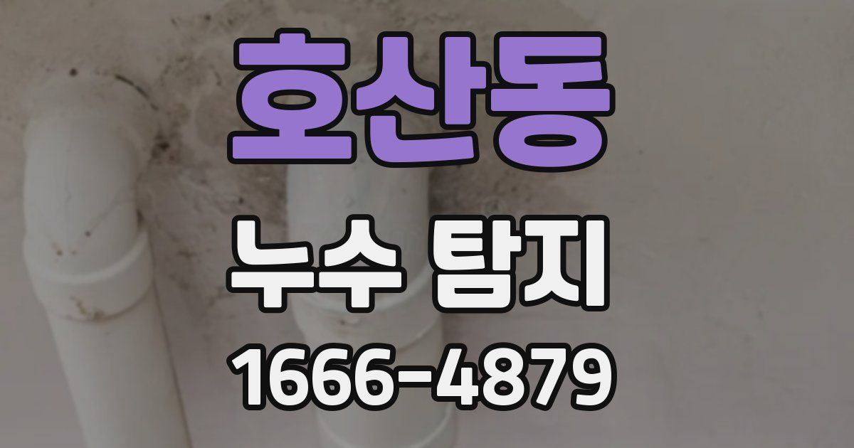 호산동 누수 탐지