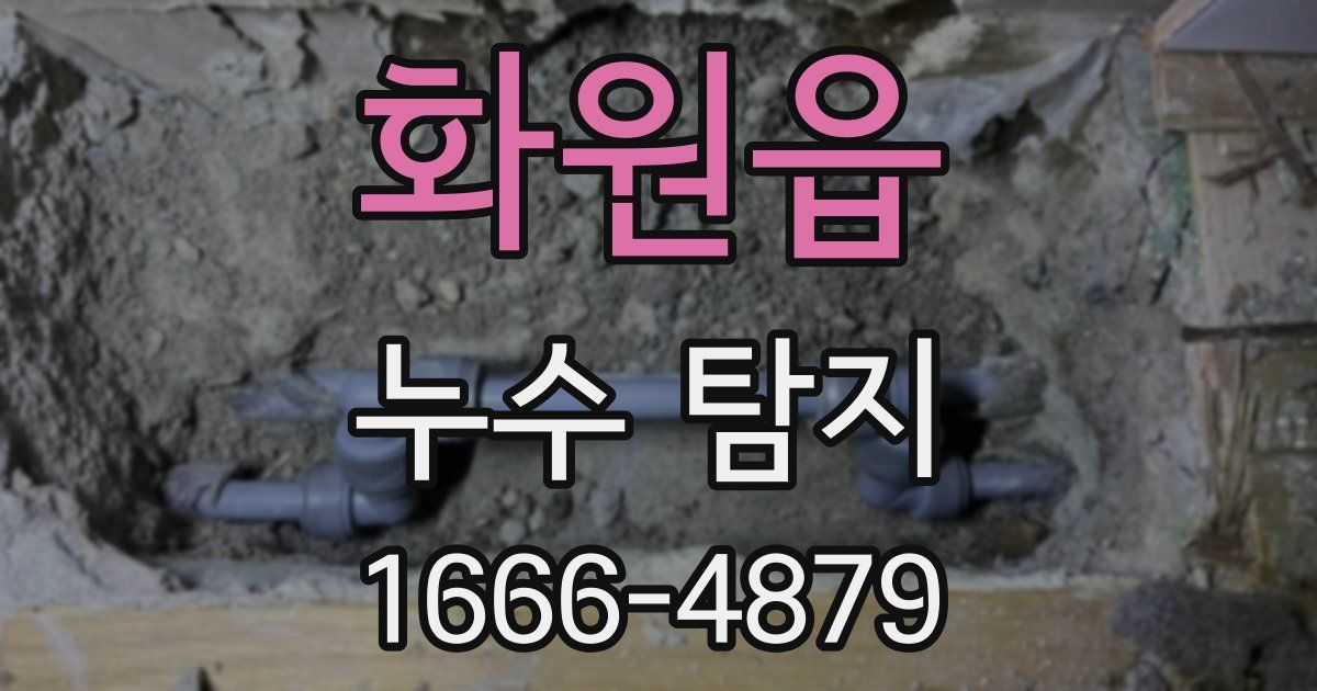 화원읍 누수 탐지