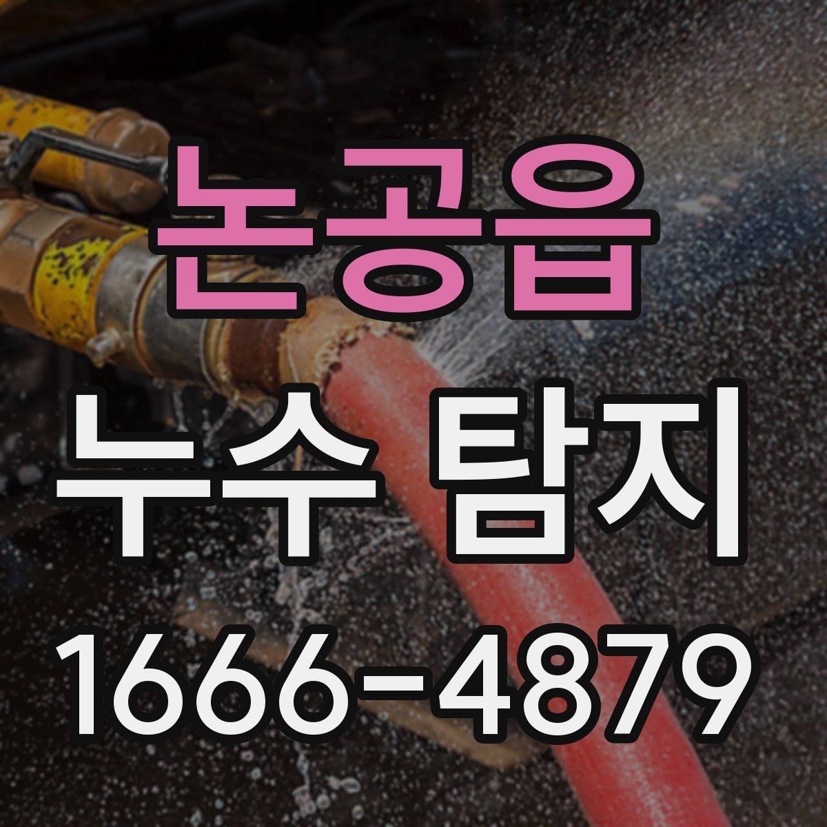 논공읍 누수 탐지