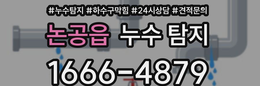 논공읍 누수 탐지