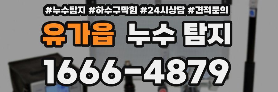 유가읍 누수 탐지