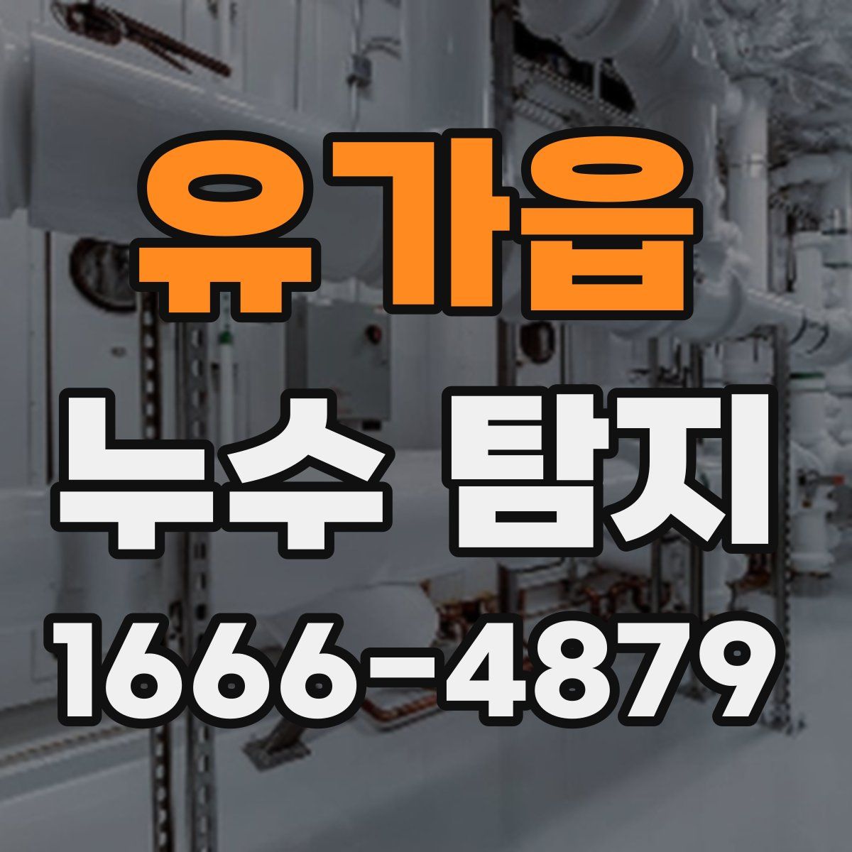 유가읍 누수 탐지